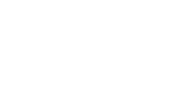 Presenting Solutions logo